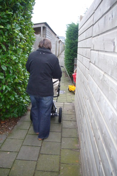 Click for the original image