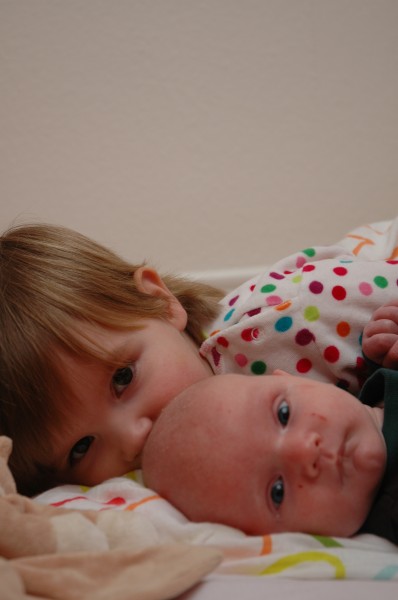 Click for the original image