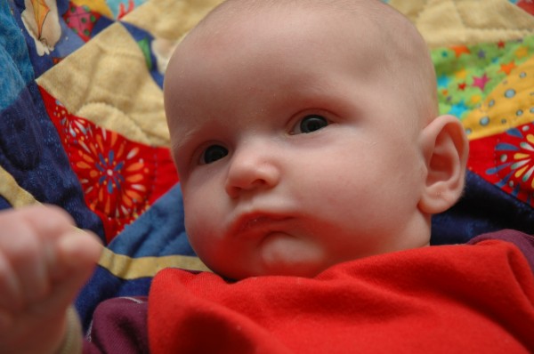 Click for the original image