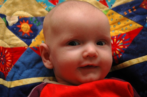 Click for the original image