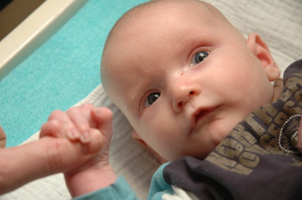 Click for the original image