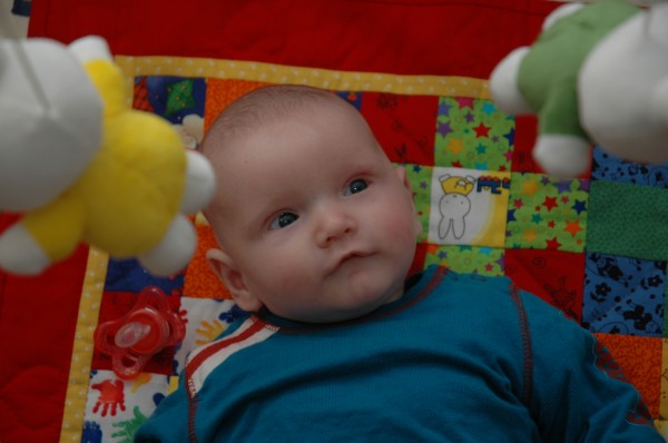 Click for the original image