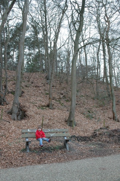 Click for the original image