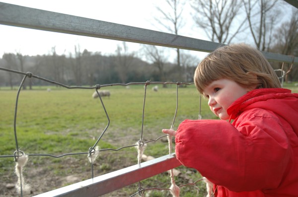 Click for the original image