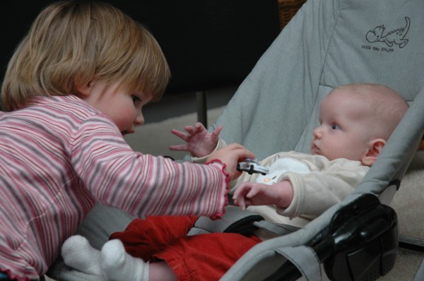 Click for the original image