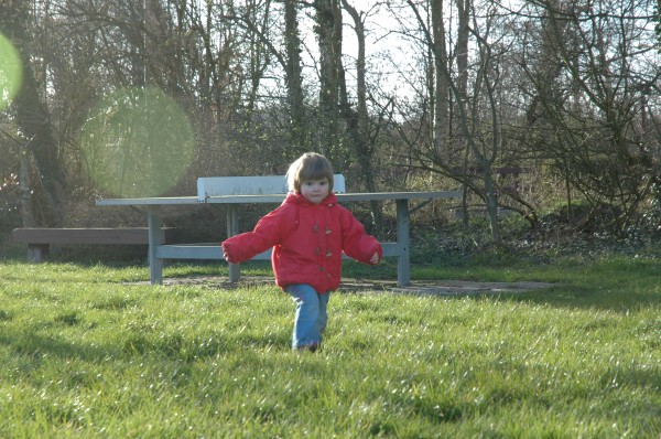 Click for the original image