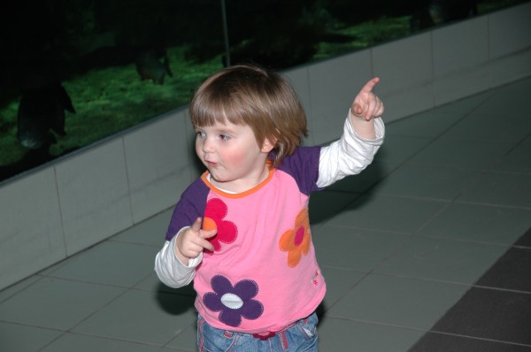 Click for the original image