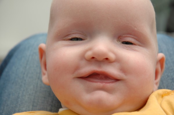 Click for the original image