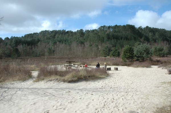 Click for the original image