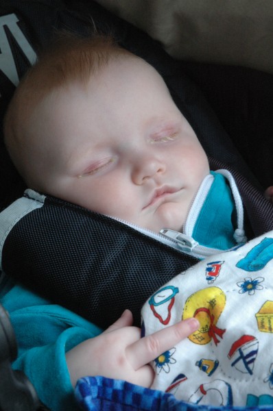 Click for the original image