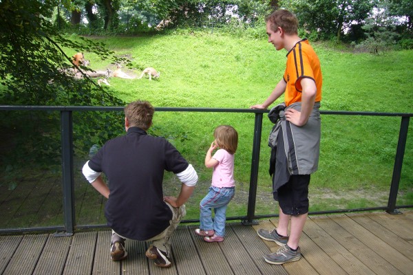 Click for the original image