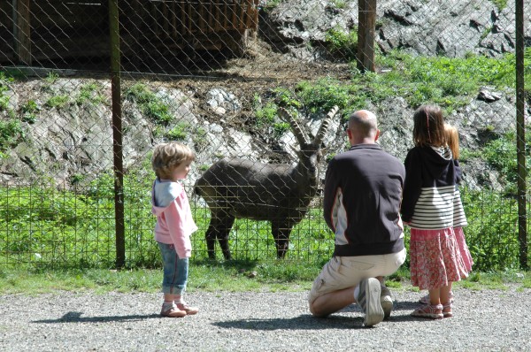 Click for the original image