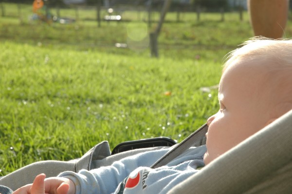 Click for the original image