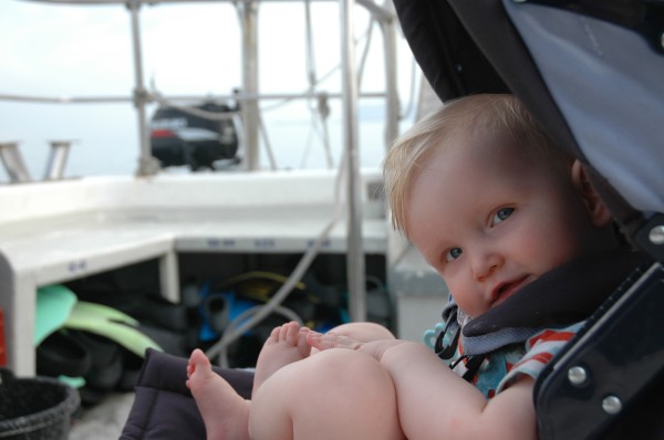 Click for the original image