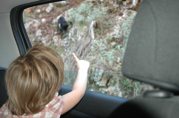 Click for the original image