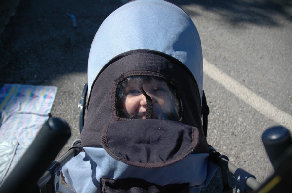 Click for the original image