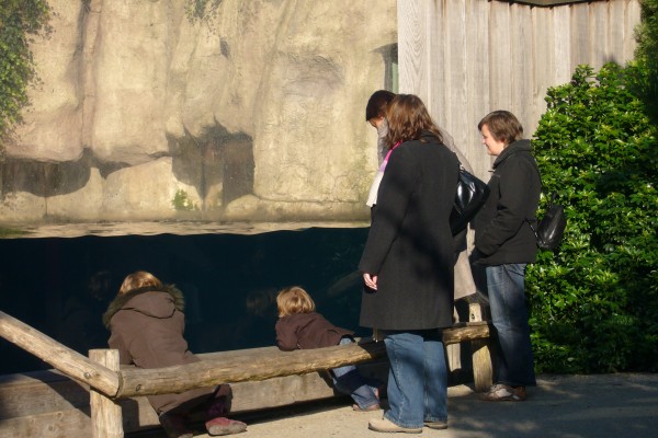 Click for the original image