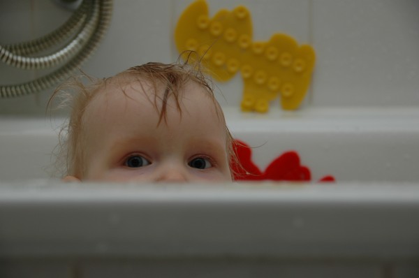 Click for the original image