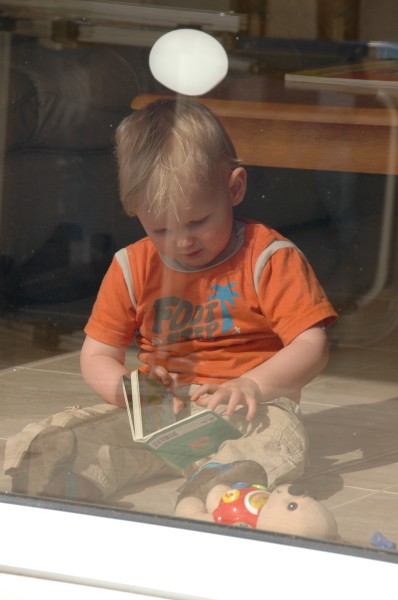 Click for the original image