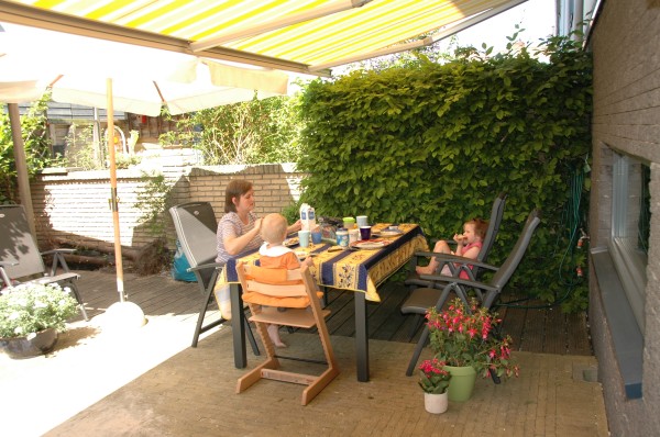 Click for the original image