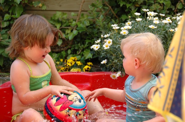 Click for the original image