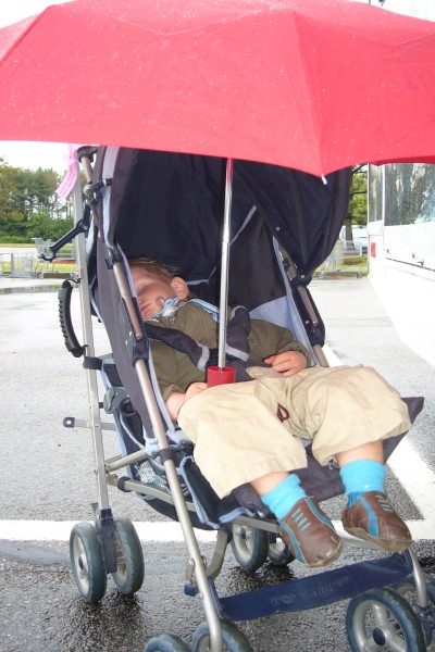 Click for the original image