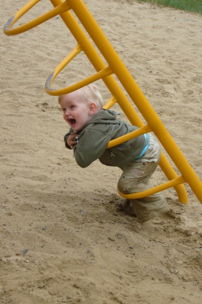 Click for the original image