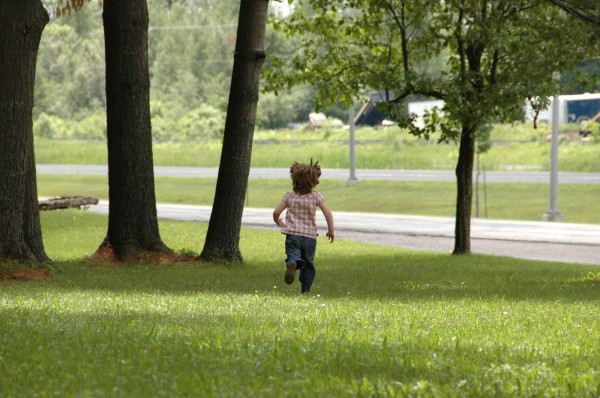 Click for the original image