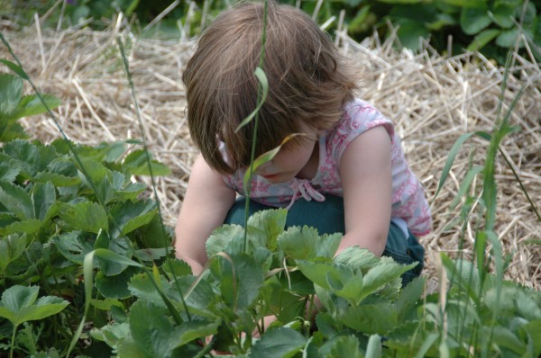 Click for the original image