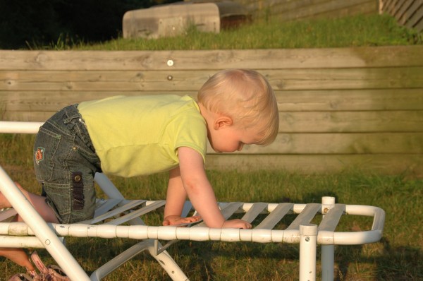 Click for the original image