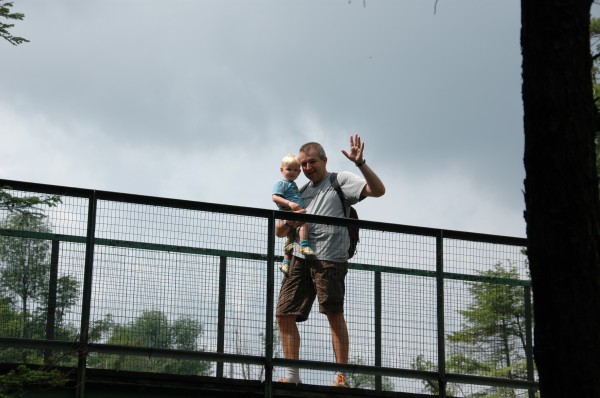 Click for the original image