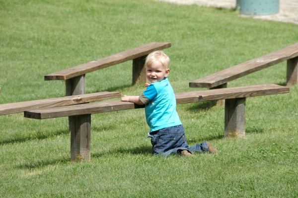 Click for the original image