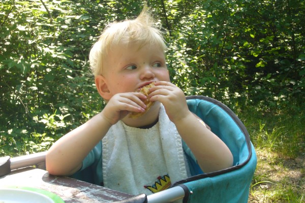 Click for the original image