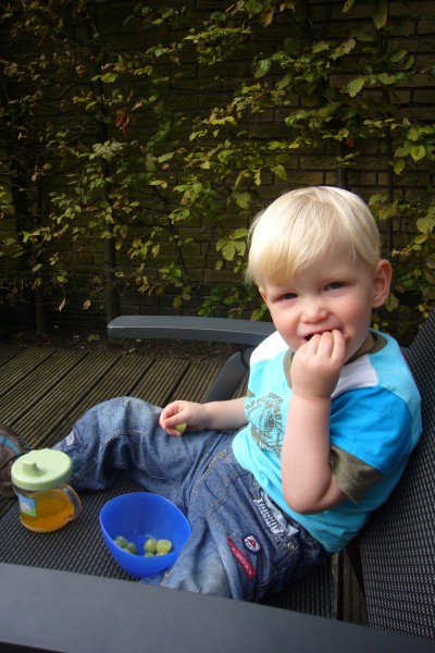 Click for the original image