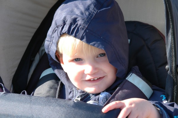 Click for the original image