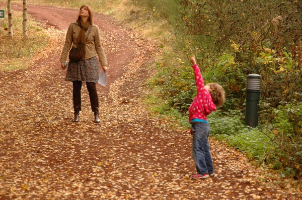 Click for the original image