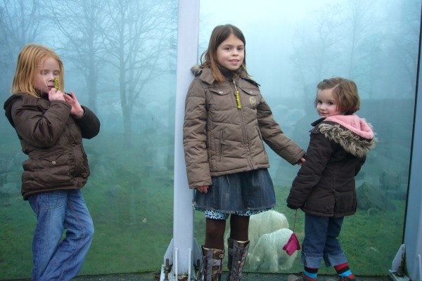 Click for the original image