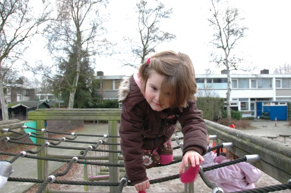 Click for the original image