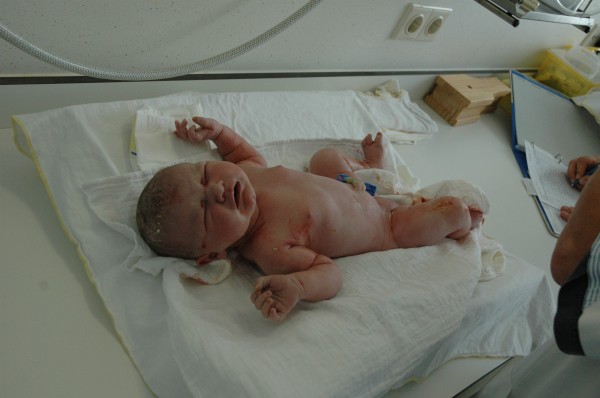 Click for the original image