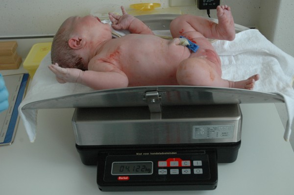 Click for the original image