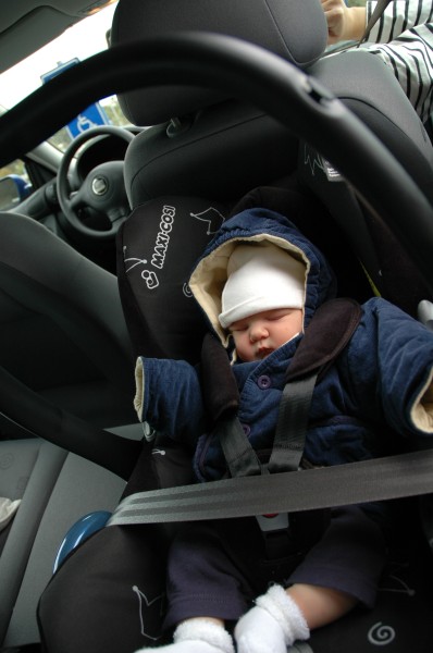 Click for the original image