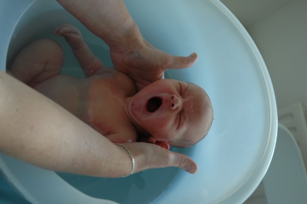 Click for the original image