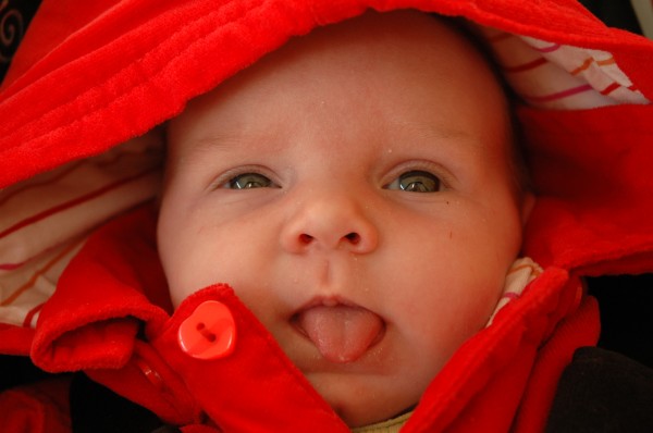 Click for the original image