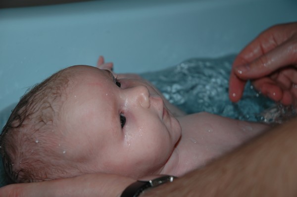 Click for the original image