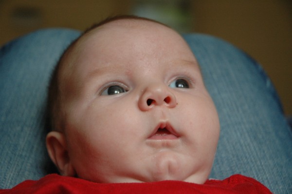 Click for the original image