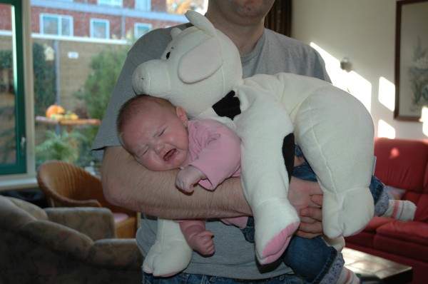 Click for the original image