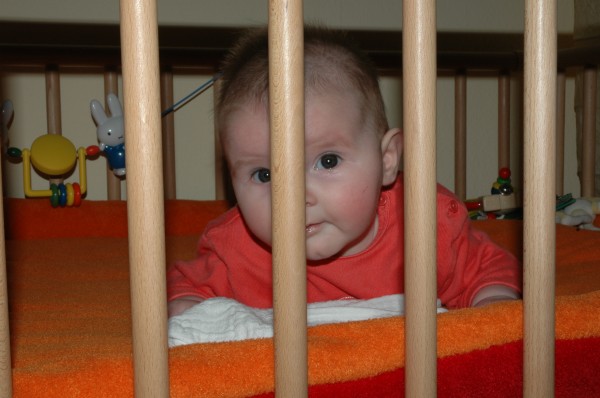 Click for the original image