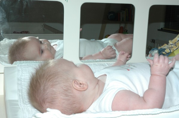 Click for the original image