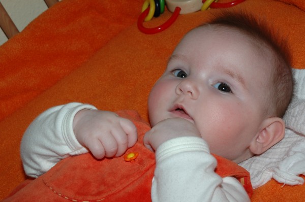 Click for the original image