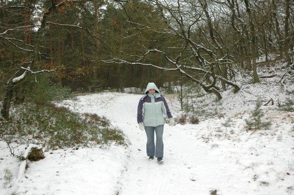 Click for the original image